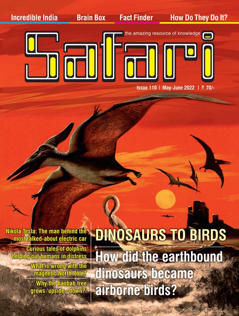 safari magazine august 2023