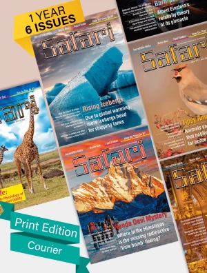 safari magazine login