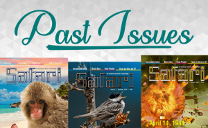 English Past Issues