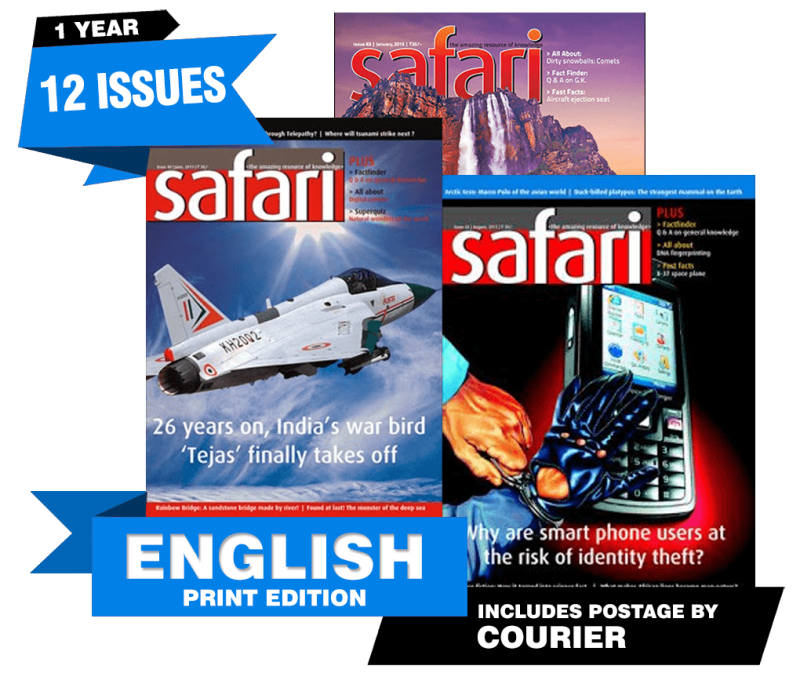 safari magazine in english