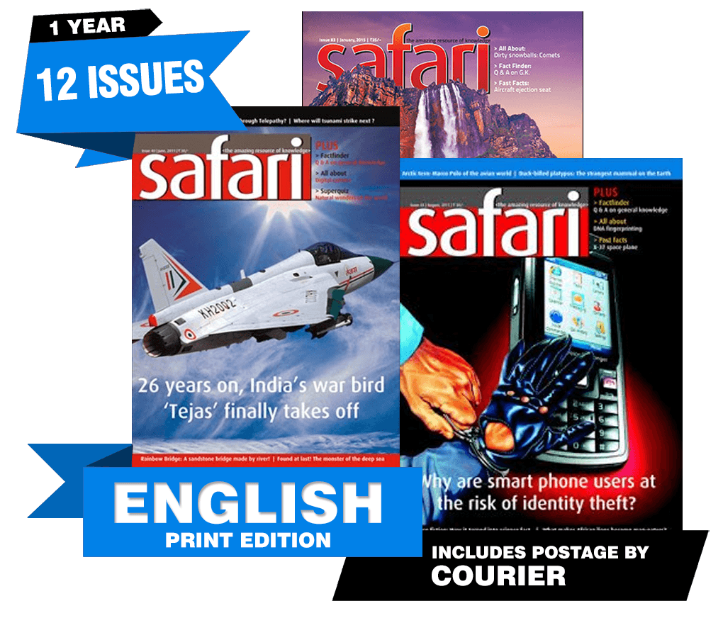 Safari Magazine English Print Edition Courier Harshal safari-magazine-english-print-edition-courier-harshal